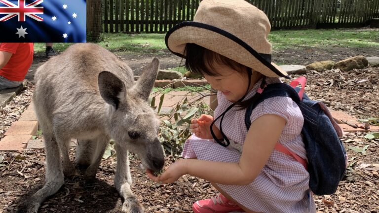 シドニー郊外の穴場観光地(動物園)：Koala Park Sanctuary Sydney（コアラパーク・サンクチュアリ・シドニー）