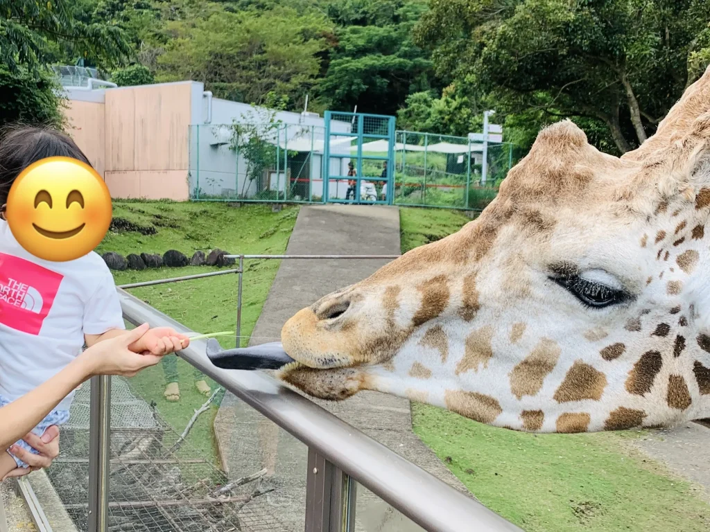 「伊豆アニマルキングダム」キリン餌やり