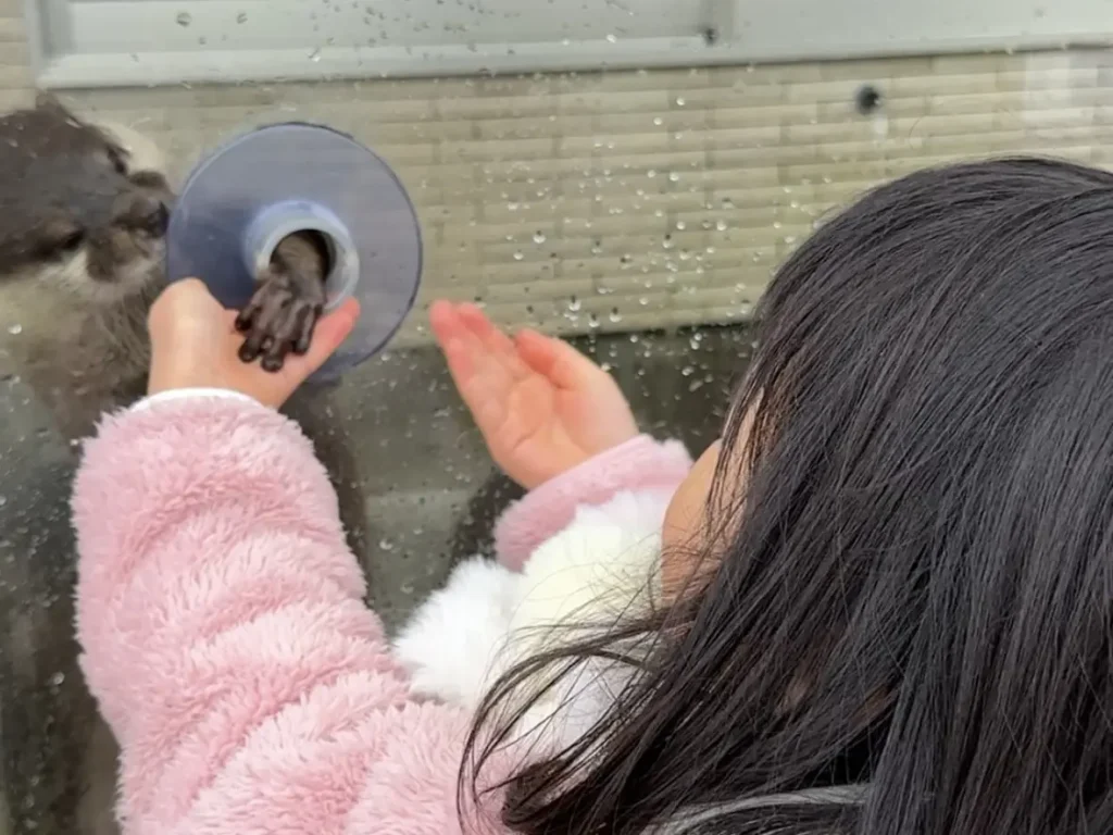 「下田海中水族館」コツメカワウソ
