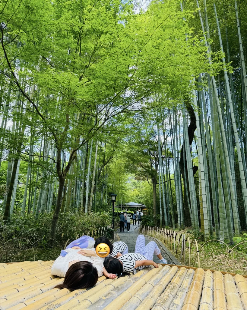 Bamboo Path “Chikurin-no-Komichi” in Shuzenji Onsen