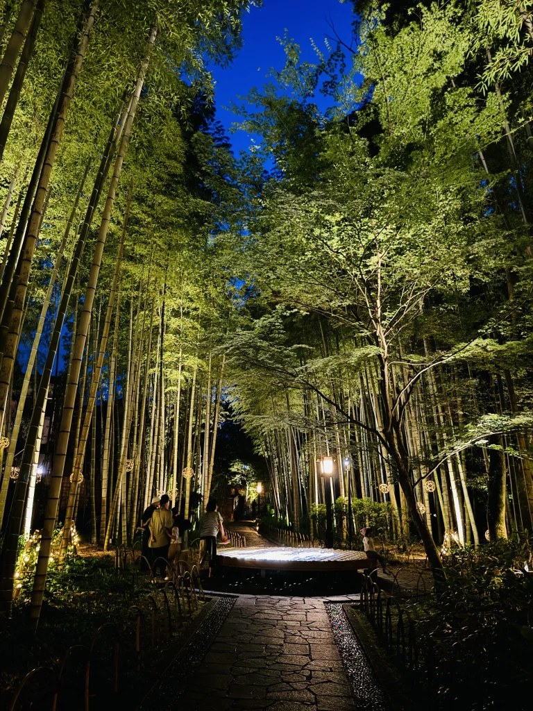 Bamboo Forest Path in Shuzenji Onsen at night, beautifully illuminated with a magical and romantic atmosphere