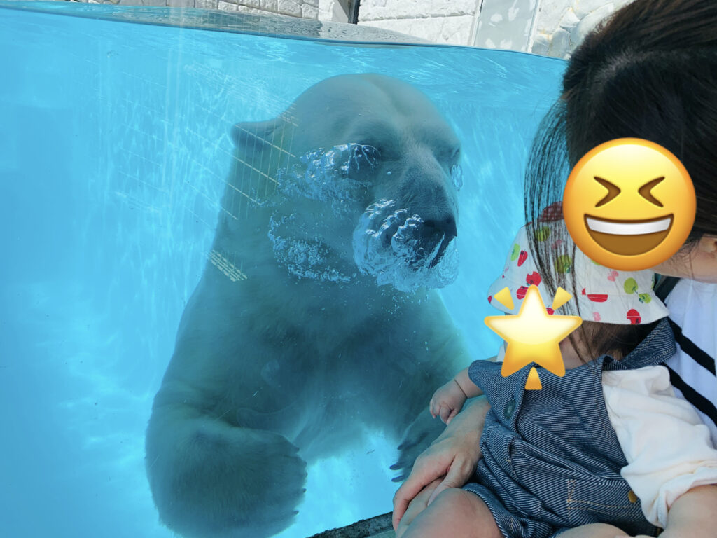 日本平ホテル:プールを泳ぎまわるホッキョクグマ