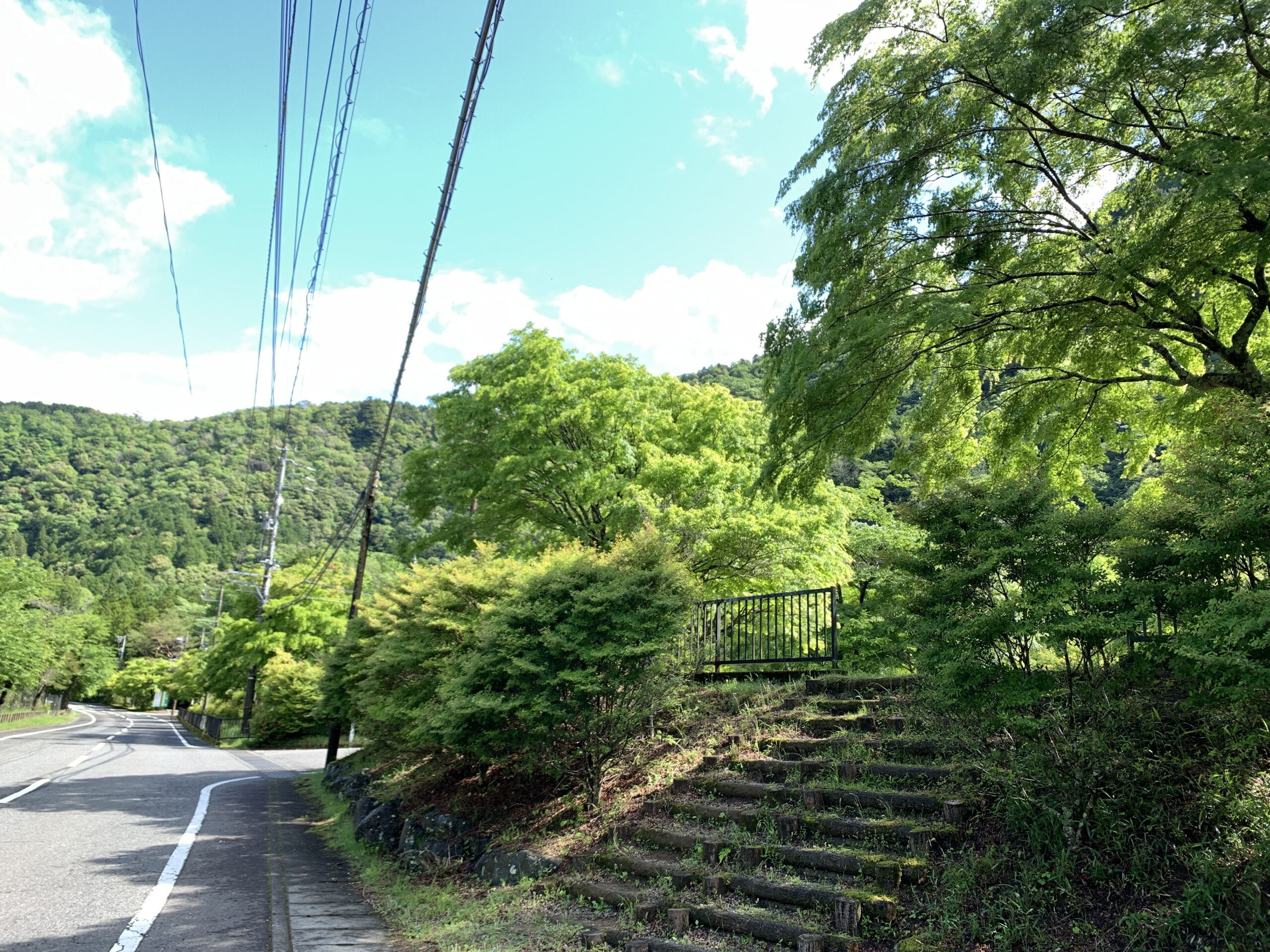 Fresh green foliage in the Umegashima Onsen area during early summer