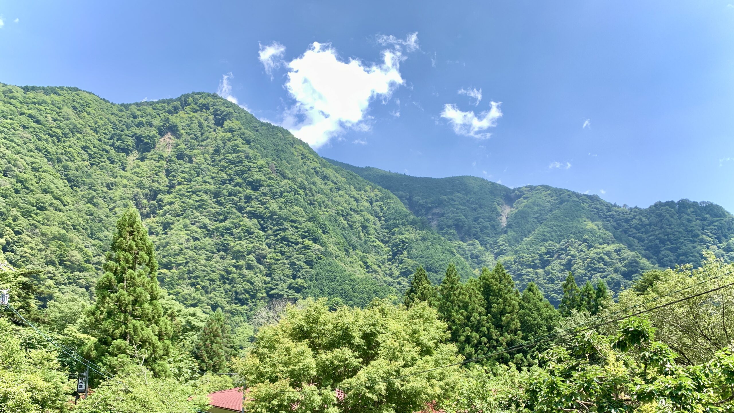 Mountain view from a second-floor guest room at Onogiso Ryokan, Umegashima Onsen
