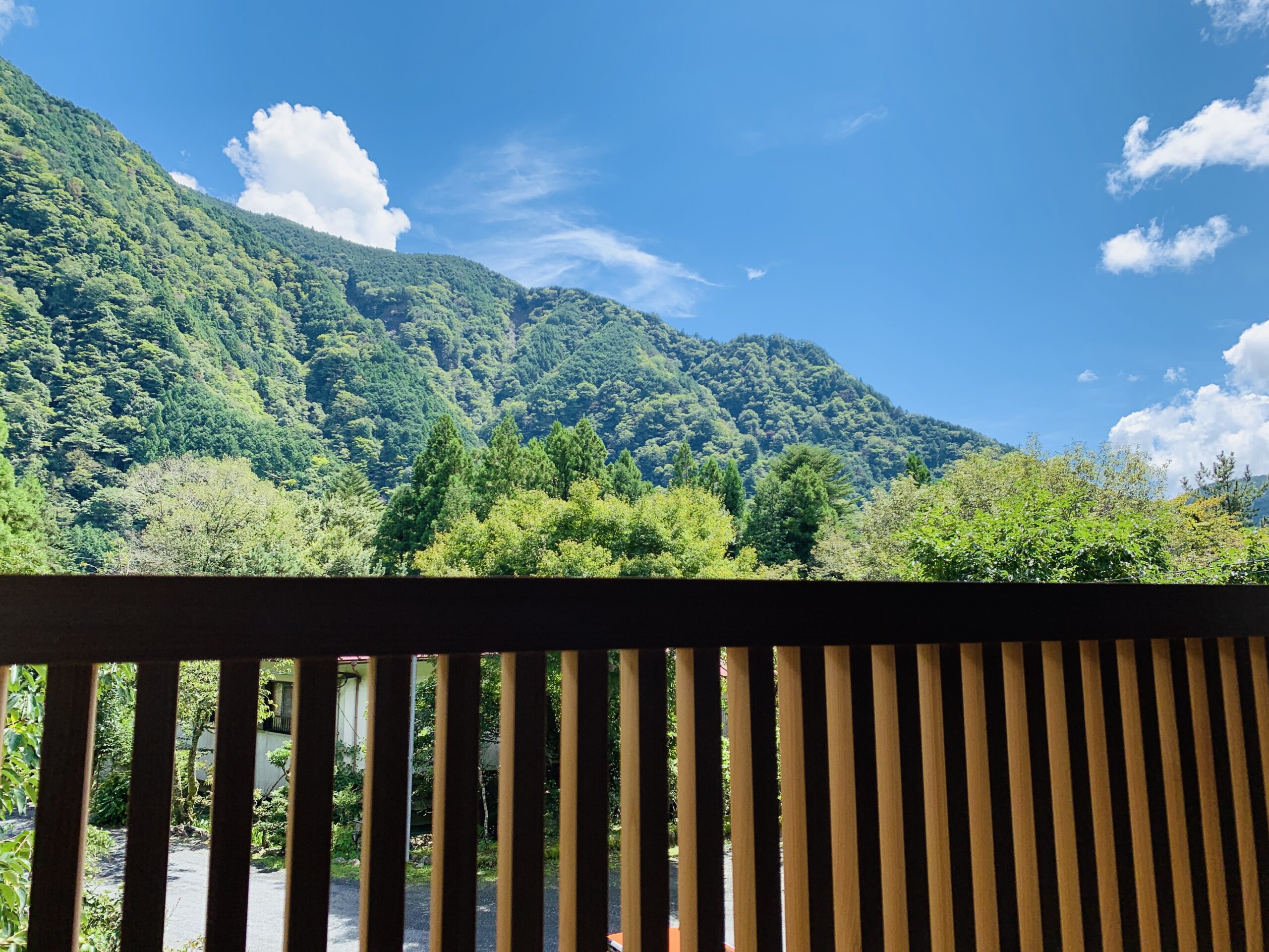 Mountain view from Higashimine room at Onogiso Ryokan, Umegashima Onsen
