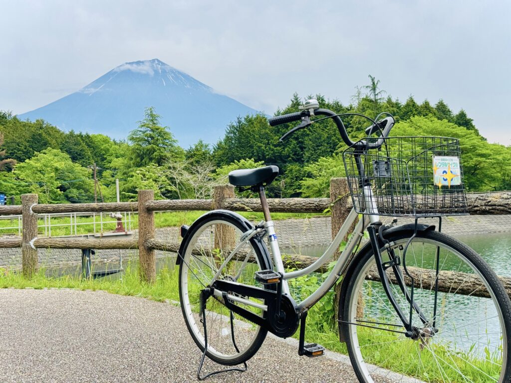 Bicycle Rentals at Lake Tanuki