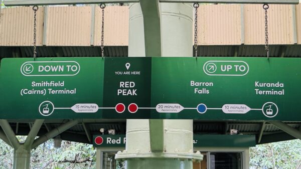 Checking the signboard at Skyrail’s Red Peak Station to see travel times and the layout between stations.