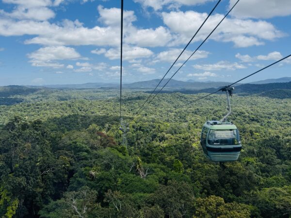Skyrail gondola gliding above the world’s oldest tropical rainforest near Cairns, offering sweeping aerial views of the treetops.