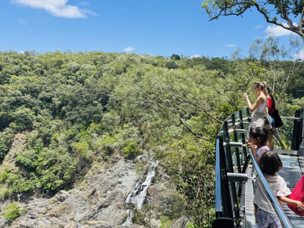 Barron Falls viewed from Skyrail’s Barron Falls Station, offering powerful flows in the wet season and striking rock formations in the dry.