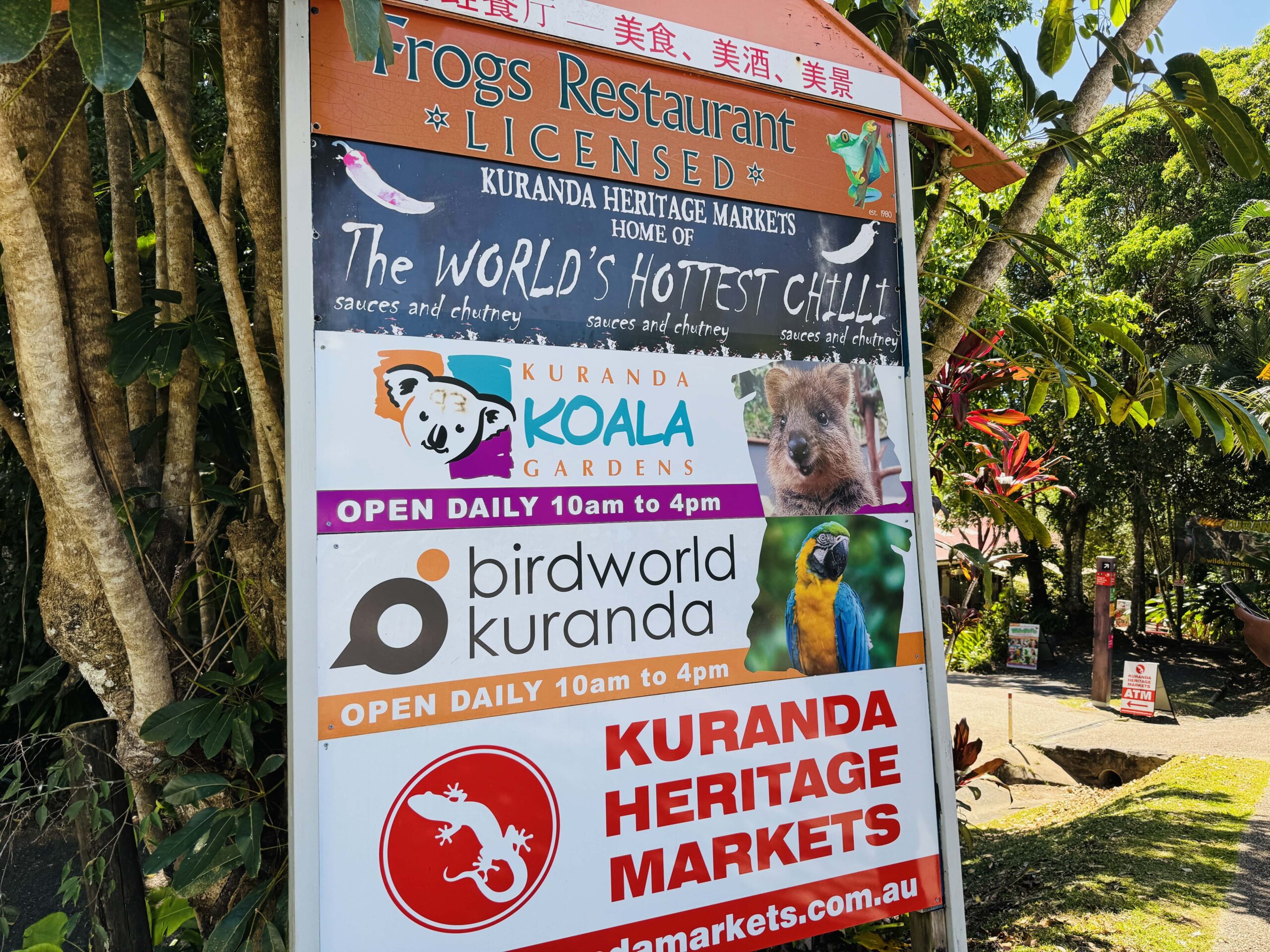 The entrance sign of Kuranda Koala Gardens—an easy-to-spot landmark for this popular wildlife attraction.