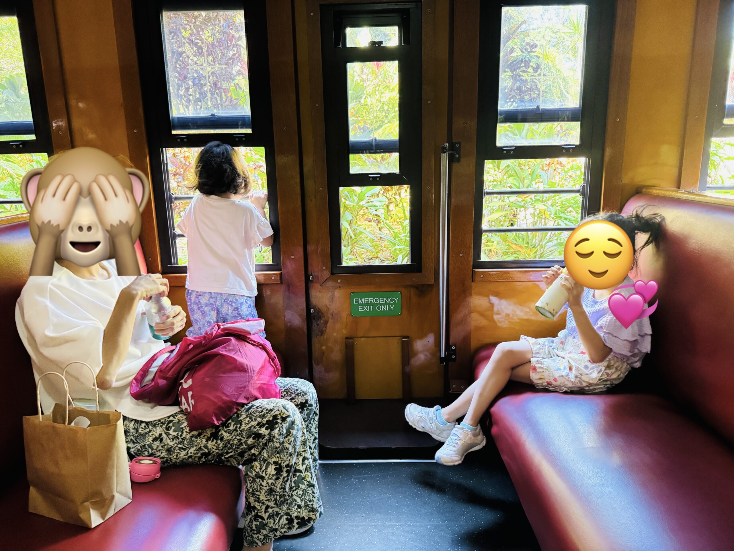 A family enjoying the rainforest views from inside the Kuranda Scenic Railway, a relaxing way to take in the World Heritage landscape.