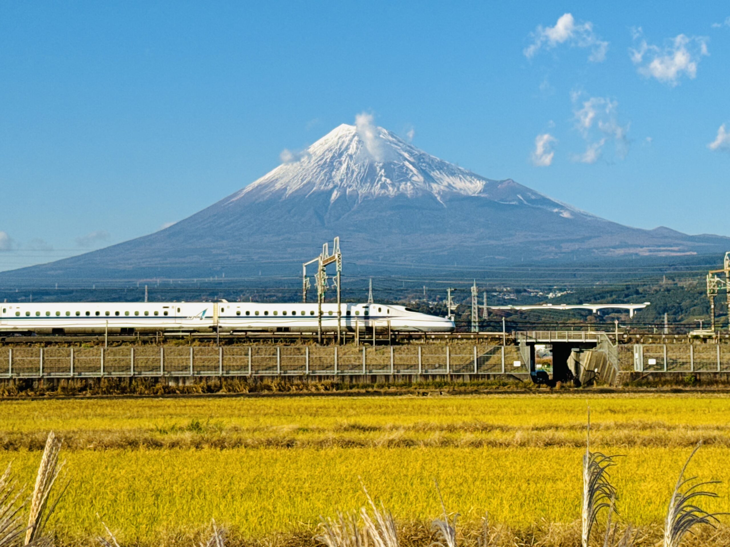 Guided e-bike tour in Fuji City featuring Mt. Fuji with a passing Shinkansen bullet train in Shizuoka