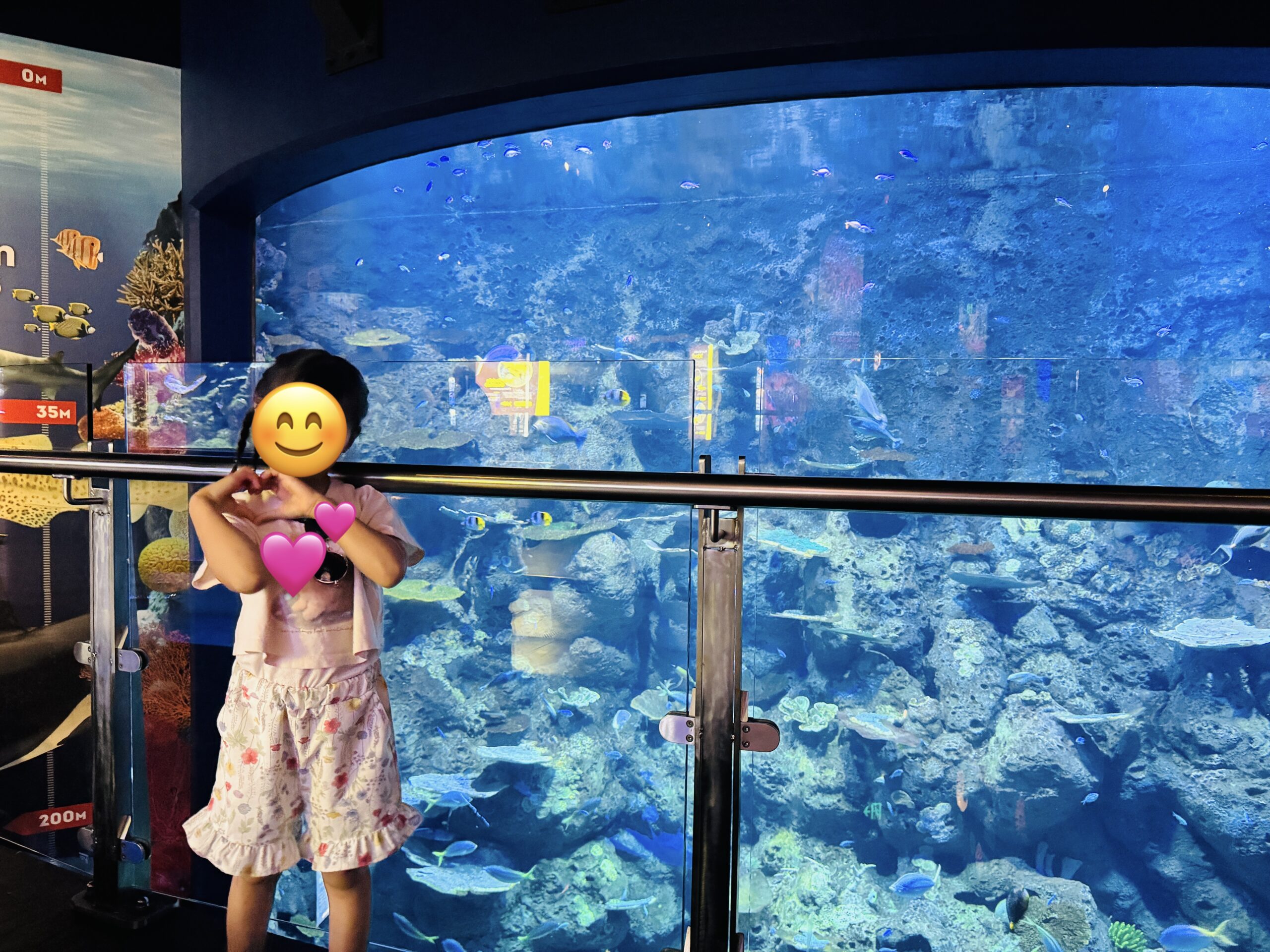 ケアンズ・アクアリウムにて