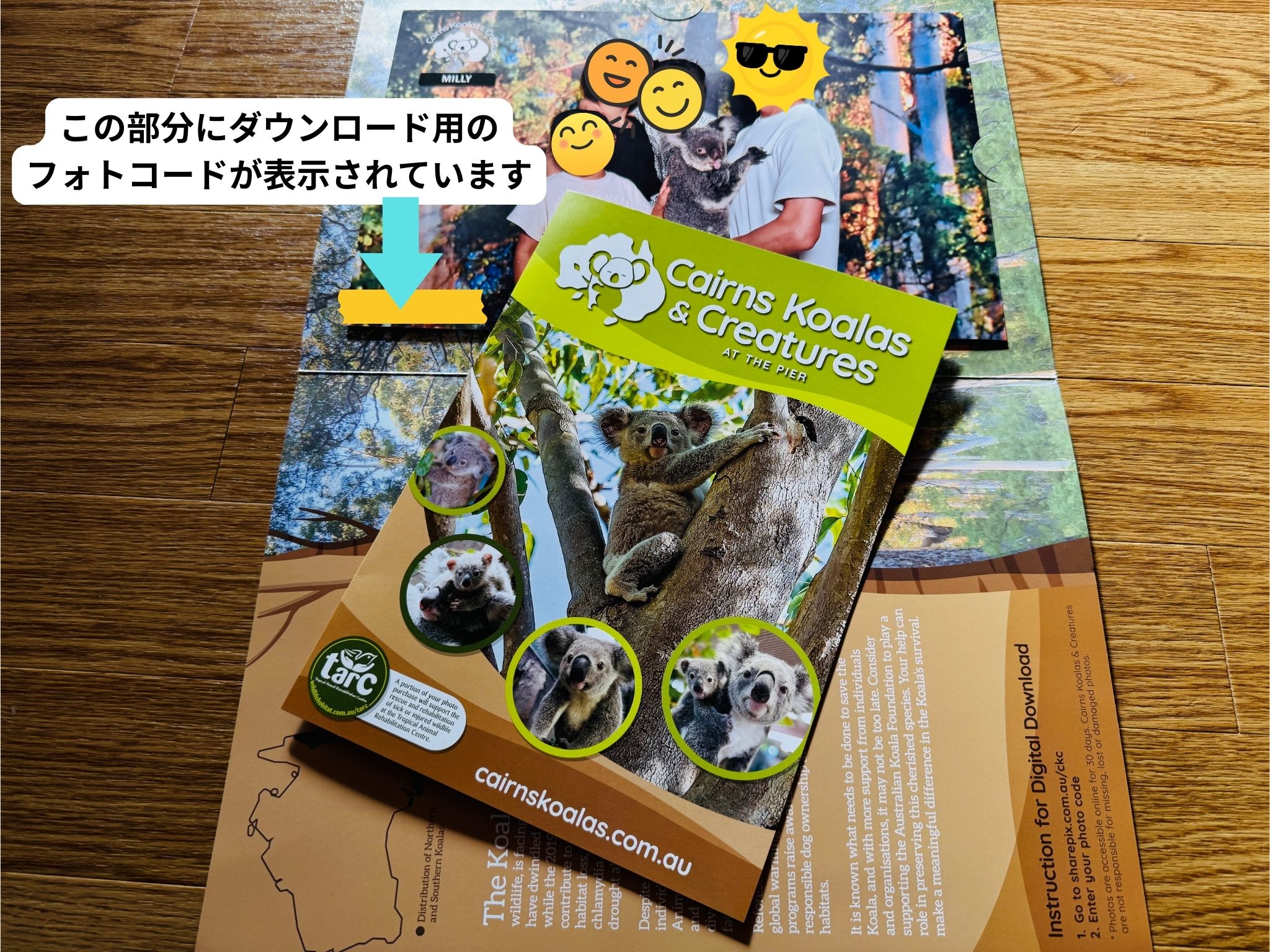 ケアンズ・コアラズ&クリーチャーズ:コアラとの写真は記念品に。