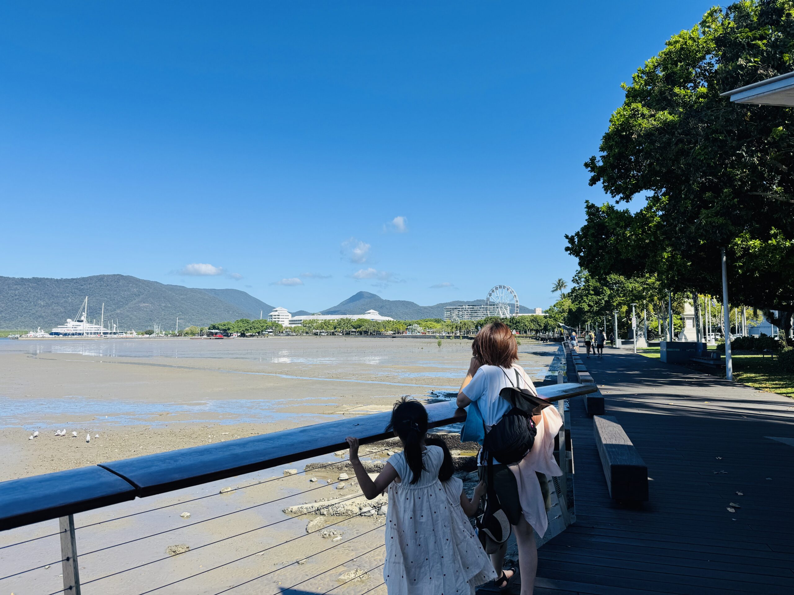 Waterfront scenery around the Cairns Esplanade