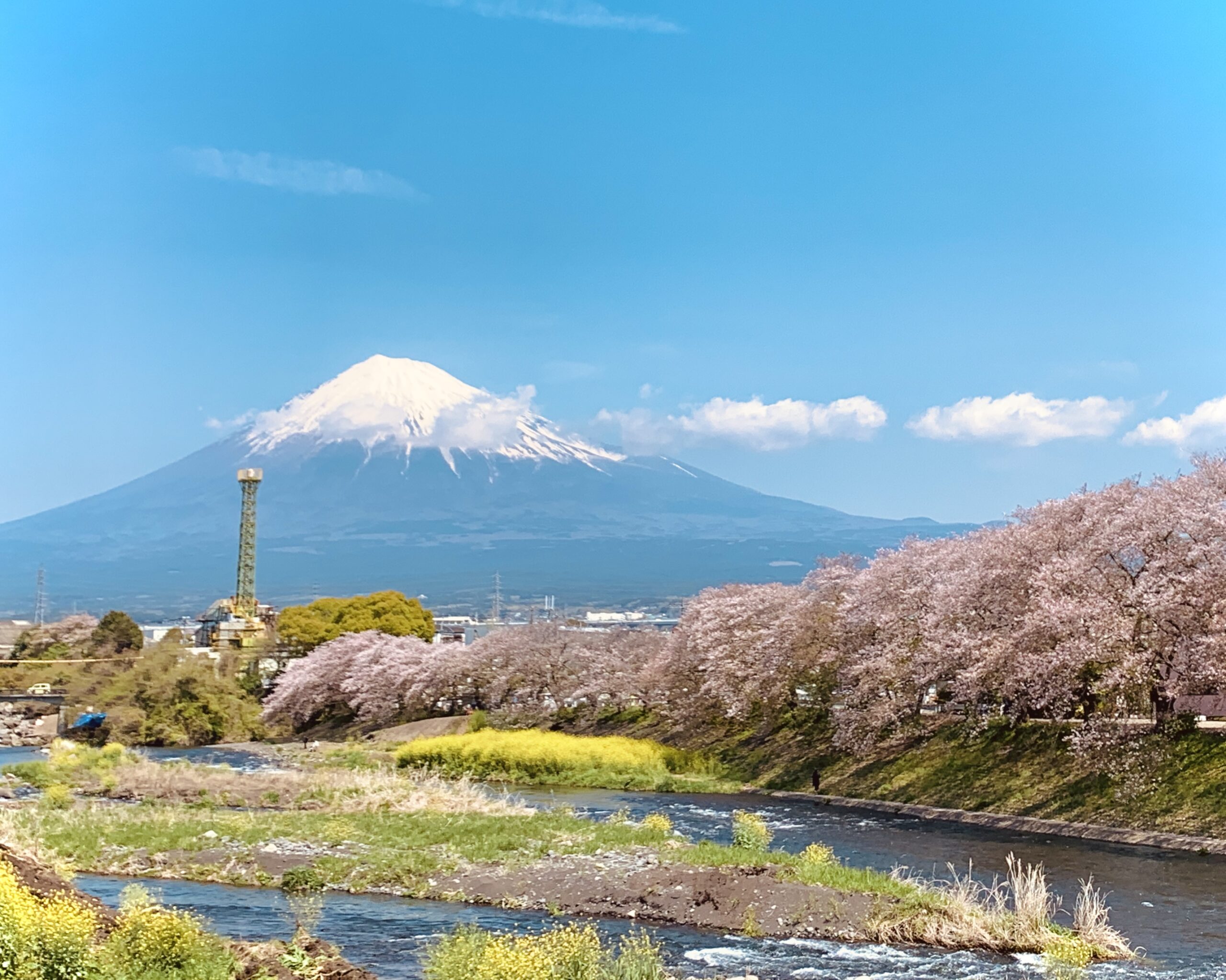 Cherry blossoms and Mt. Fuji at Ryuganbuchi in Fuji City, Shizuoka