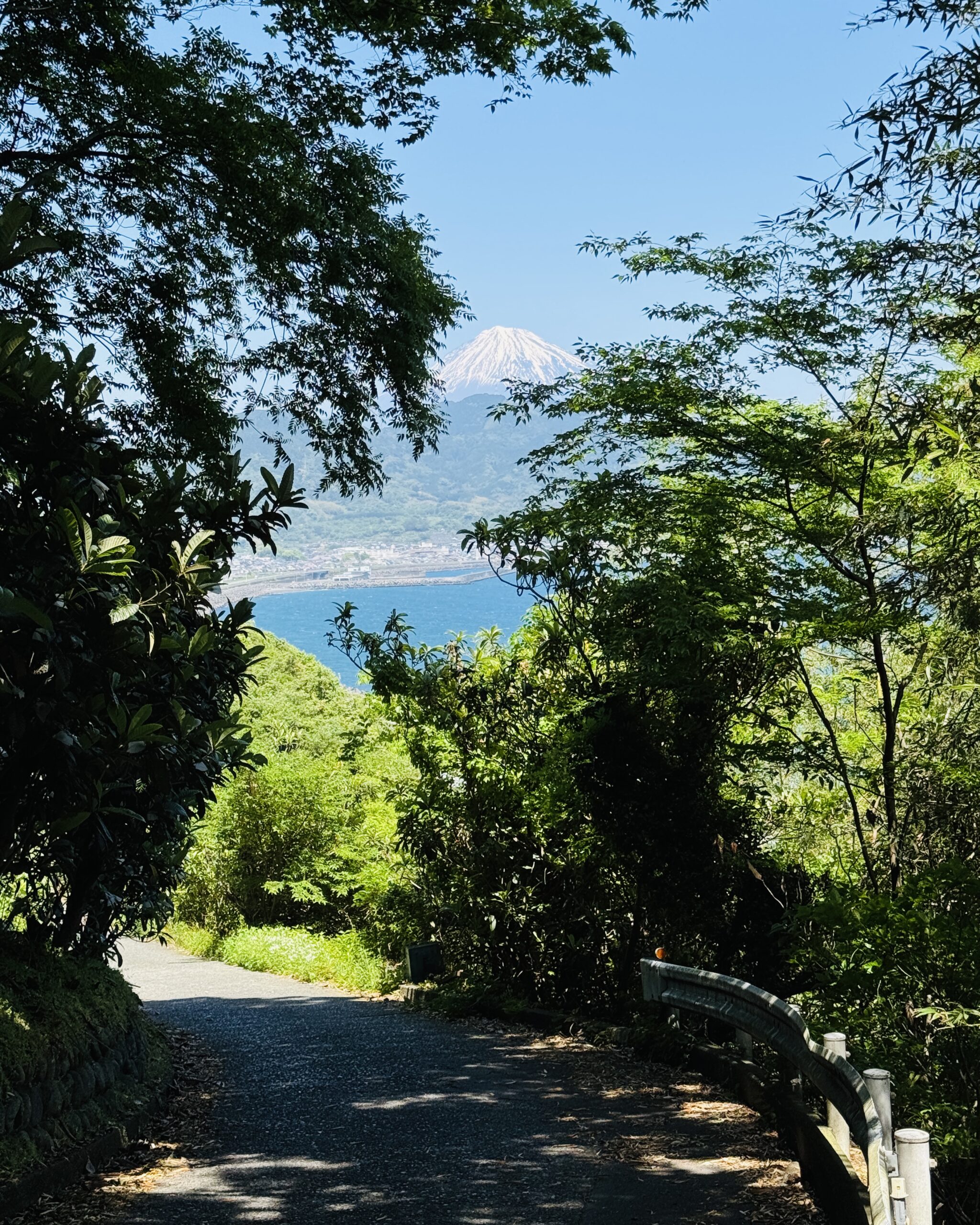 Scenic walking route from Satta Pass viewpoint toward Yui Station in Shizuoka
